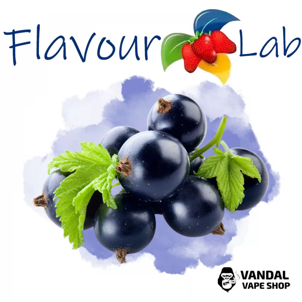 Ароматизатор FlavourLab 10 мл со вкусом Черной смородины Ароматизатор FlavourLab 10 мл со вкусом Черной смородины
