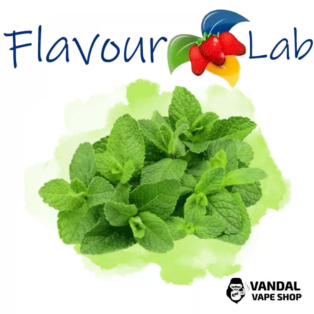 Ароматизатор FlavourLab 10 мл со вкусом ментола