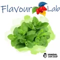 Ароматизатор FlavourLab 10 мл со вкусом ментола