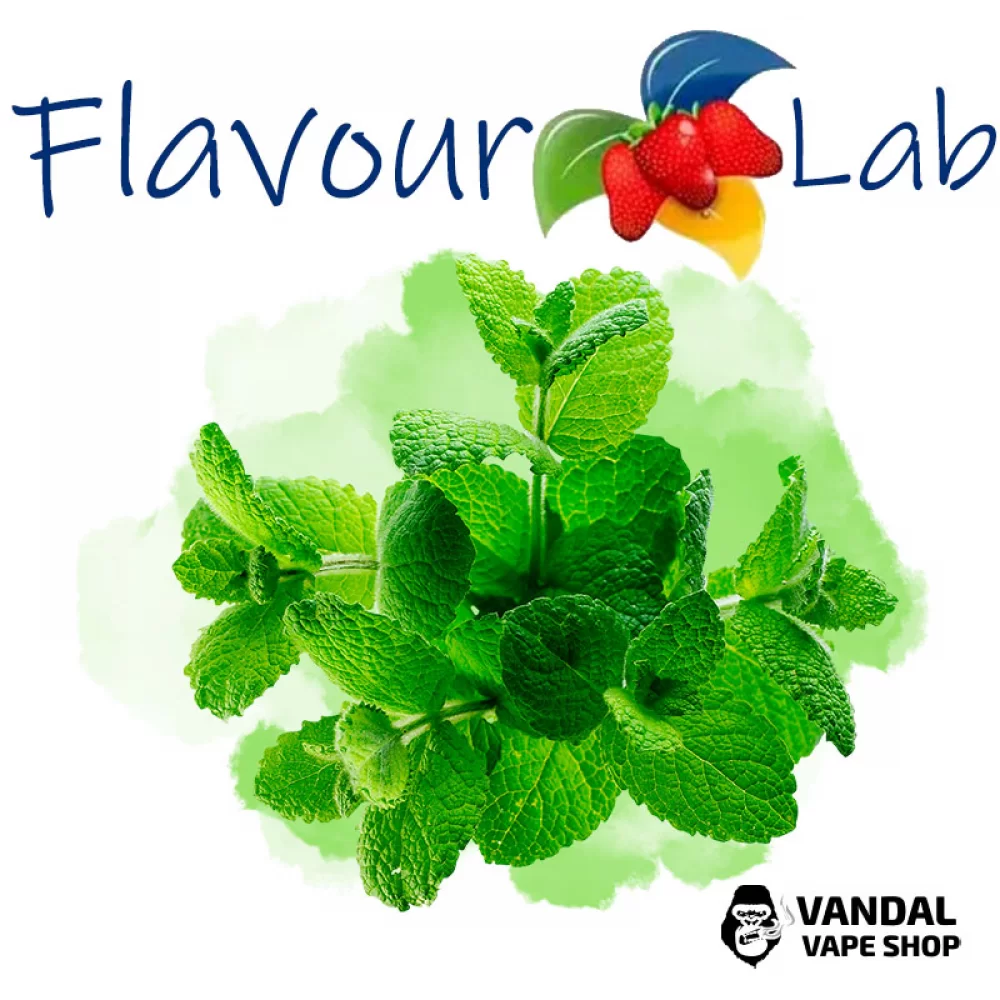 Ароматизатор FlavourLab 10 мл со вкусом мяты Ароматизатор FlavourLab 10 мл со вкусом мяты