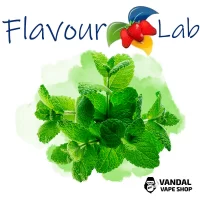 Ароматизатор FlavourLab 10 мл - Мята