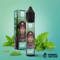 Набор Blizz Essence 30 мл 65 мг со вкусом мяты Набор Blizz Essence 30 мл 65 мг со вкусом мяты