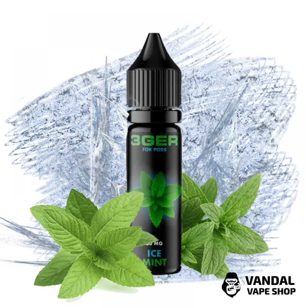 ЖИДКОСТЬ 3Ger Salt - Ice Mint 15 мл 35 мг НА СОЛЕВОМ НИКОТИНЕ СО ВКУСОМ мяты с холодком