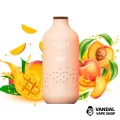 Одноразовый Pod Elf Bar BB3000 Disposable Pod 650mAh 5% на 3000 затяжек со вкусом манго и персика