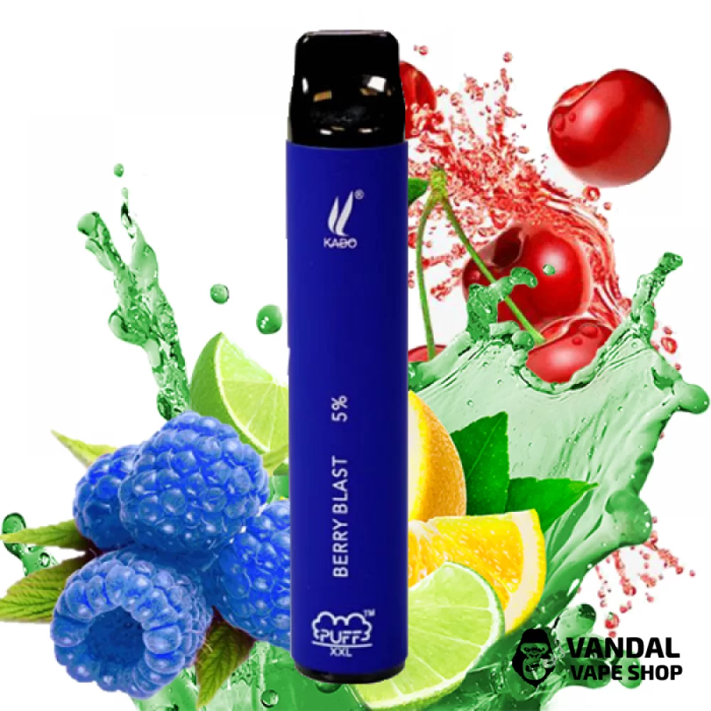 Одноразовая Pod система Puff XXL Disposable Kit 1200 mAh на 1600 затяжек со вкусом настойки цитруса, голубой малины и вишни