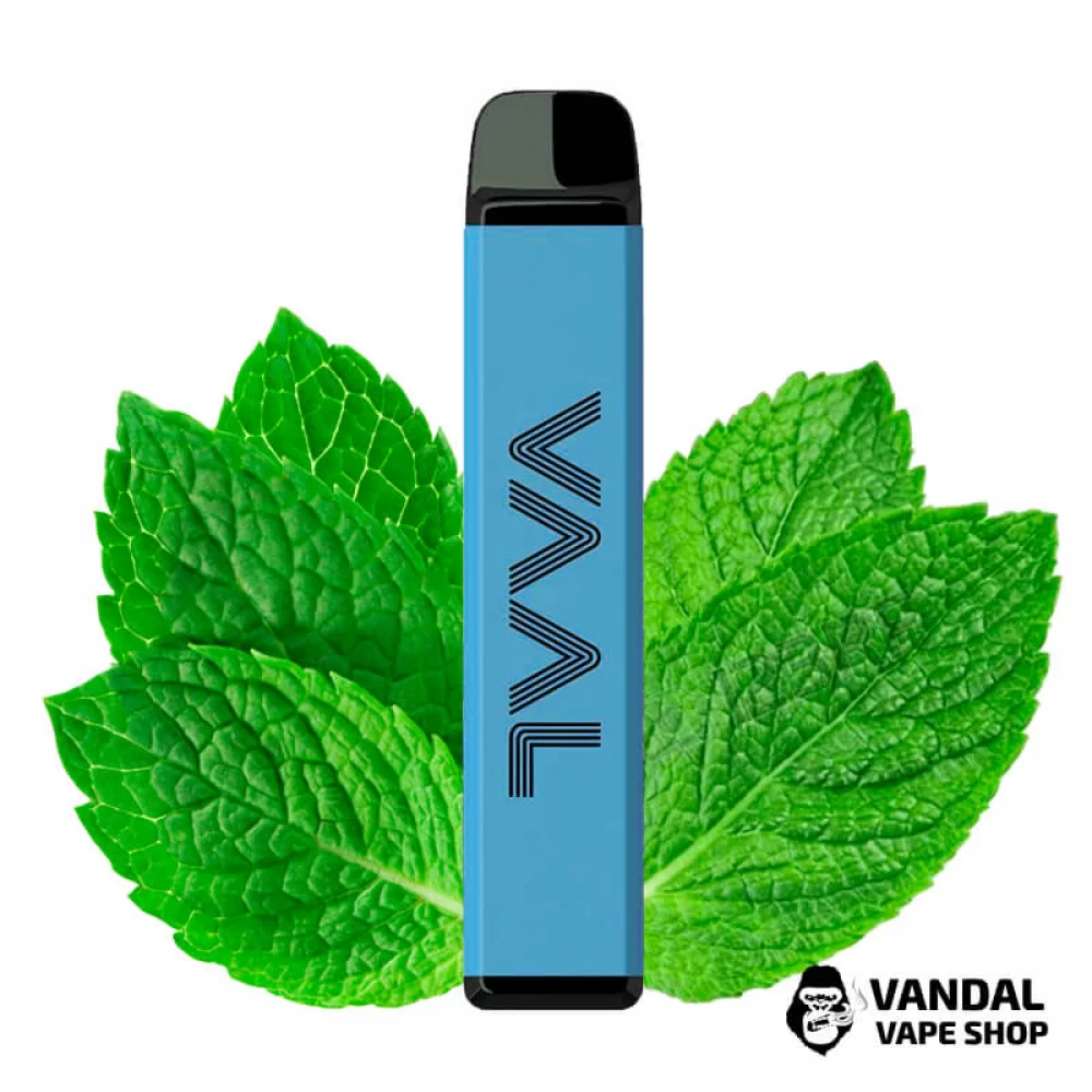 Одноразовый Pod Joyetech VAAL 4000M 590 мАч на 4000 затяжек со вкусом мяты Одноразовый Pod Joyetech VAAL 4000M 590 мАч на 4000 затяжек со вкусом мяты
