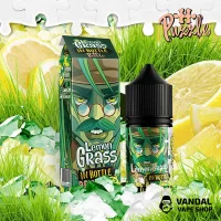 Набори для самозамісу In Bottle Salt Puzzle 30 мл 30 мг - Lemongrass