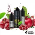 Набор для самозамеса Wick&Wire Salt 30 мл 25 мг со вкусом вишни и граната Набор для самозамеса Wick&Wire Salt 30 мл 25 мг со вкусом вишни и граната