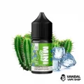 Жидкость Mini Liquid - 30 мл на солевом никотине 30 мг со вкусом кактуса со льдом