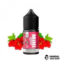 Black Triangle Mini Liquid Red Currant - 30 мл, 30 мг