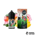 Жидкость Mixtura 30 мл на солевом никотине 30 мг со вкусом жвачки из манго Жидкость Mixtura 30 мл на солевом никотине 30 мг со вкусом жвачки из манго