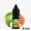 ЖИДКОСТЬ Blizz Salt 10 мл НА СОЛЕВОМ НИКОТИНЕ 25 мг со вкусом гуавы и яблока ЖИДКОСТЬ Blizz Salt 10 мл НА СОЛЕВОМ НИКОТИНЕ 25 мг со вкусом гуавы и яблока