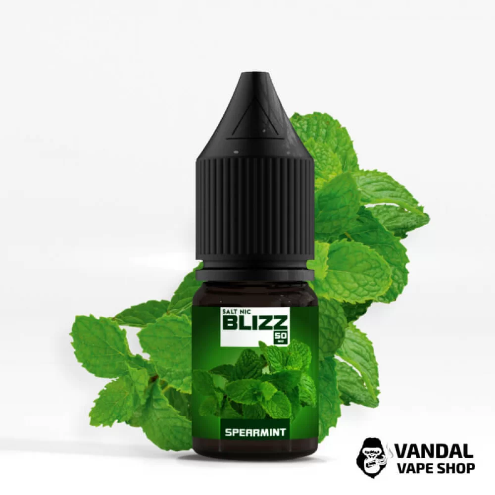 ЖИДКОСТЬ Blizz Salt 10 мл НА СОЛЕВОМ НИКОТИНЕ 50 мг со вкусом мяты