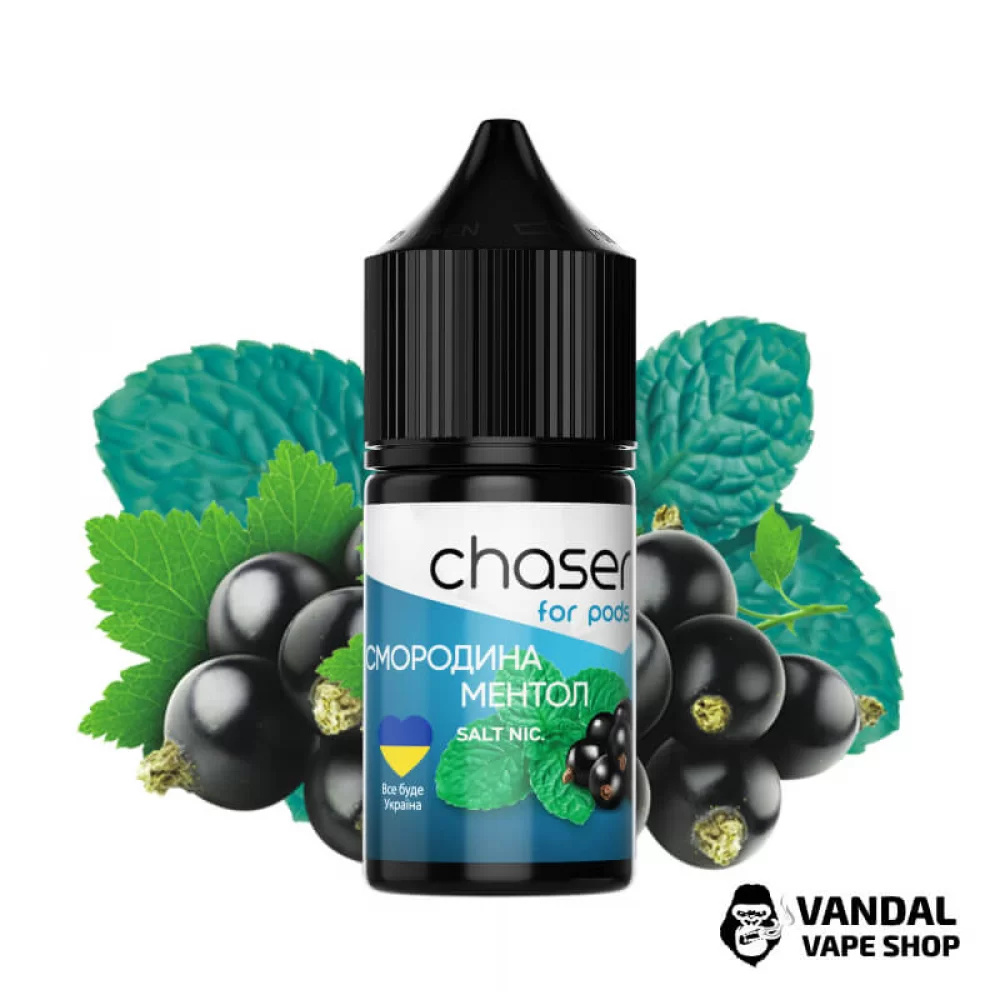 ЖИДКОСТЬ Chaser ForPods 30 мл НА СОЛЕВОМ НИКОТИНЕ 30 мг со вкусом смородины с ментолом