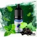 ЖИДКОСТЬ 3Ger Salt 10 мл НА СОЛЕВОМ НИКОТИНЕ 35 мг со вкусом черной смородины и мяты ЖИДКОСТЬ 3Ger Salt 10 мл НА СОЛЕВОМ НИКОТИНЕ 35 мг со вкусом черной смородины и мяты