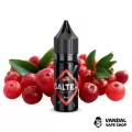Жидкость Saltex 15 мл 45 мг на солевом никотине со вкусом клюквы