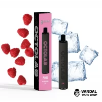 Octolab 850 mAh 1600 puffs Disposable Pod Kit - Raspberry Ice