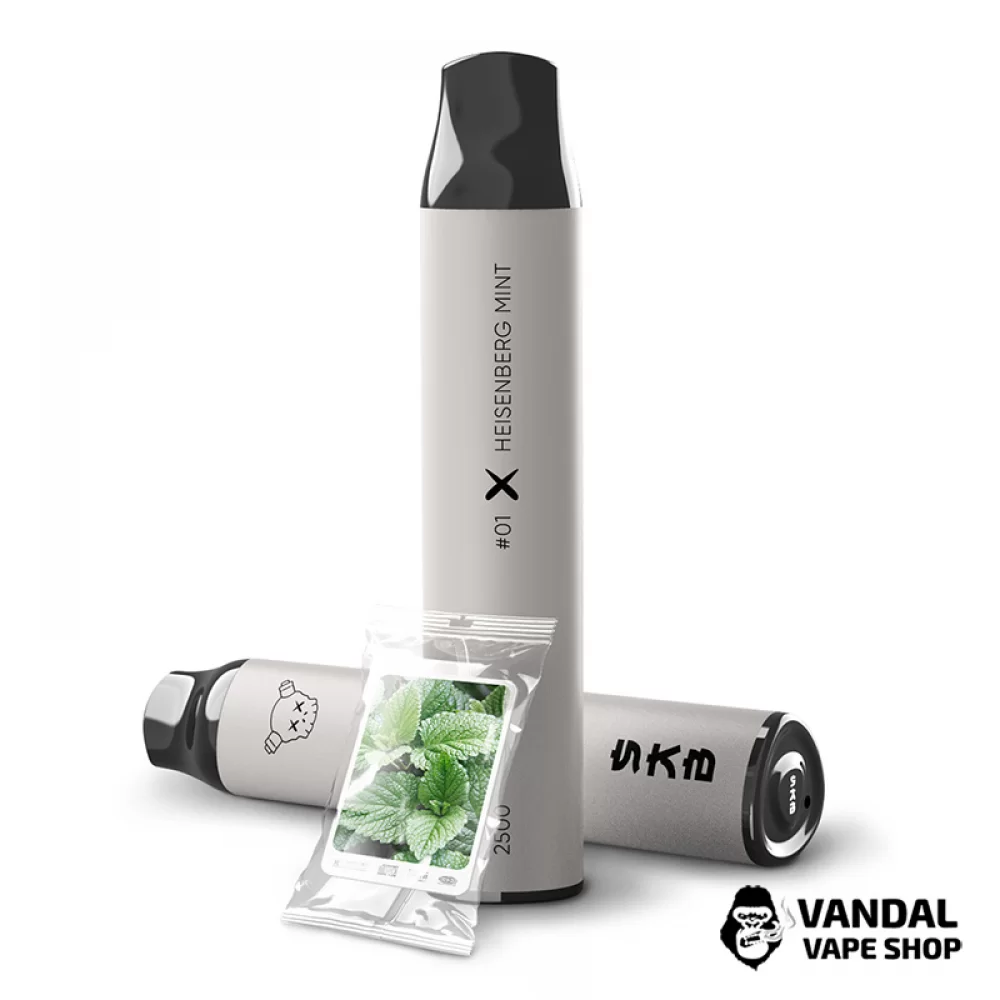Одноразовый Pod SAB 2500 Disposable Pod 1100 мАч 5% на 2500 затяжек со вкусом мяты Одноразовый Pod SAB 2500 Disposable Pod 1100 мАч 5% на 2500 затяжек со вкусом мяты