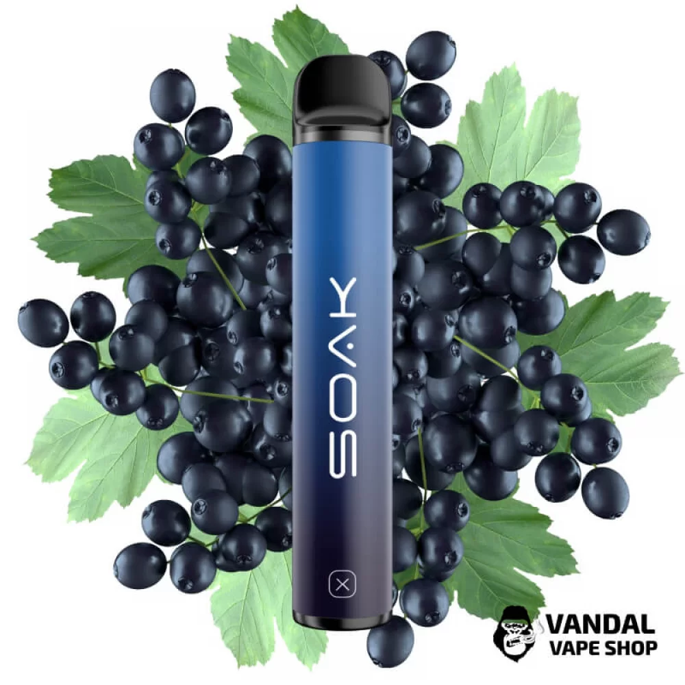 Одноразовая Pod система Soak X 50 мг 850 мАч на 1500 затяжек со вкусом черники и хвои