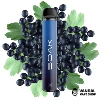 Soak X 1500 50 мг 850 мАч - Forest Blackcurrant