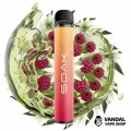 Одноразовая Pod система Soak X 50 мг 850 мАч на 1500 затяжек со вкусом жасминового чая с малиной