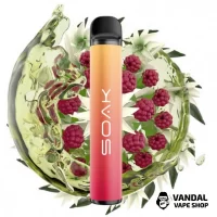 Soak X 1500 50 мг 850 мАч - Jasmin Raspberry Tea
