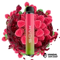 Soak X 1500 50 мг 850 мАч - Raspberry Soda
