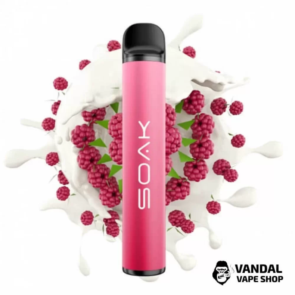 Одноразовая Pod система Soak X 50 мг 850 мАч на 1500 затяжек со вкусом йогурта с малиной