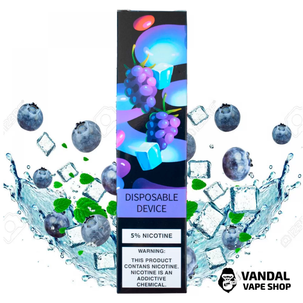 Одноразовая Pod система ZeeZee Disposable Pod Kit 5% 850 mAh на 1500 затяжек со вкусом черники и льда