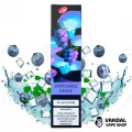 Одноразовая Pod система ZeeZee Disposable Pod Kit 5% 850 mAh на 1500 затяжек со вкусом черники и льда