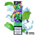 Одноразовая Pod система ZeeZee Disposable Pod Kit 5% 850 mAh на 1500 затяжек со вкусом мяты Одноразовая Pod система ZeeZee Disposable Pod Kit 5% 850 mAh на 1500 затяжек со вкусом мяты
