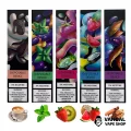 Одноразовая Pod система ZeeZee Disposable Pod Kit 5% 400 mAh на 500 затяжек
