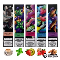 ZeeZee Disposable Pod Kit 5% 400 mAh 500 Puffs