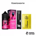 Набір для самозамісу Chaser Squid Game 30 мл 50 мг - зі смаком ананасу, лайму, маракуї