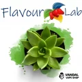Ароматизатор FlavourLab 10 мл со вкусом кактуса