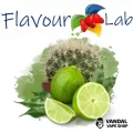 Ароматизатор FlavourLab 10 мл со вкусом кактуса и лайма