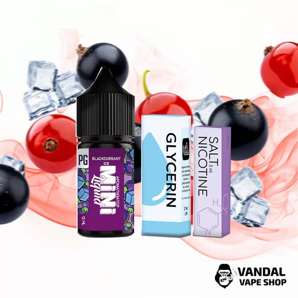 Набор для самозамеса Mini Liquid  30 мл 25 мг со вкусом смородины с холодком