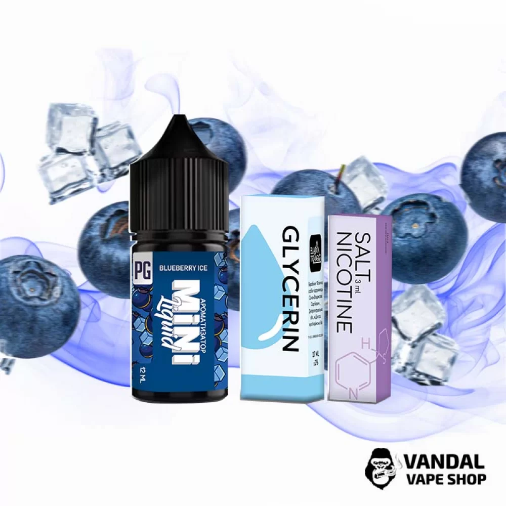 Набор для самозамеса Mini Liquid  30 мл 25 мг со вкусом черники с холодком