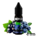 ЖИДКОСТЬ Nova Salt 15 мл НА СОЛЕВОМ НИКОТИНЕ 30 мг со вкусом черники и смородины