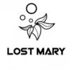Lost Mary